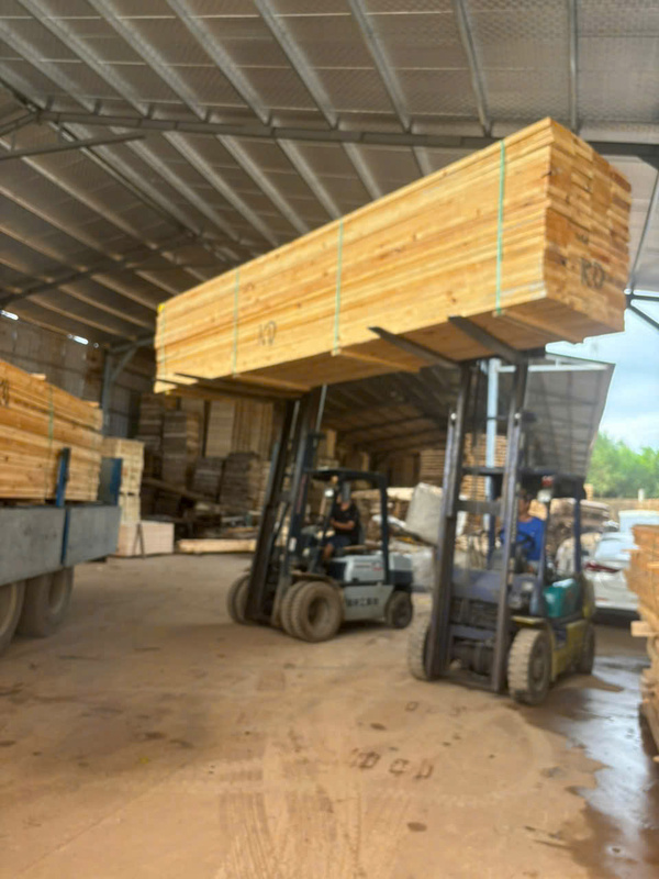 Gỗ nguyên liệu - Pallet Gỗ Hoàng Huy Phát - Công Ty TNHH Sản Xuất TMDV Hoàng Huy Phát